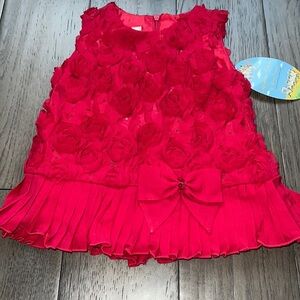 NWT American princess baby 3-D floral/sequins dress with pleated ruffle bottom